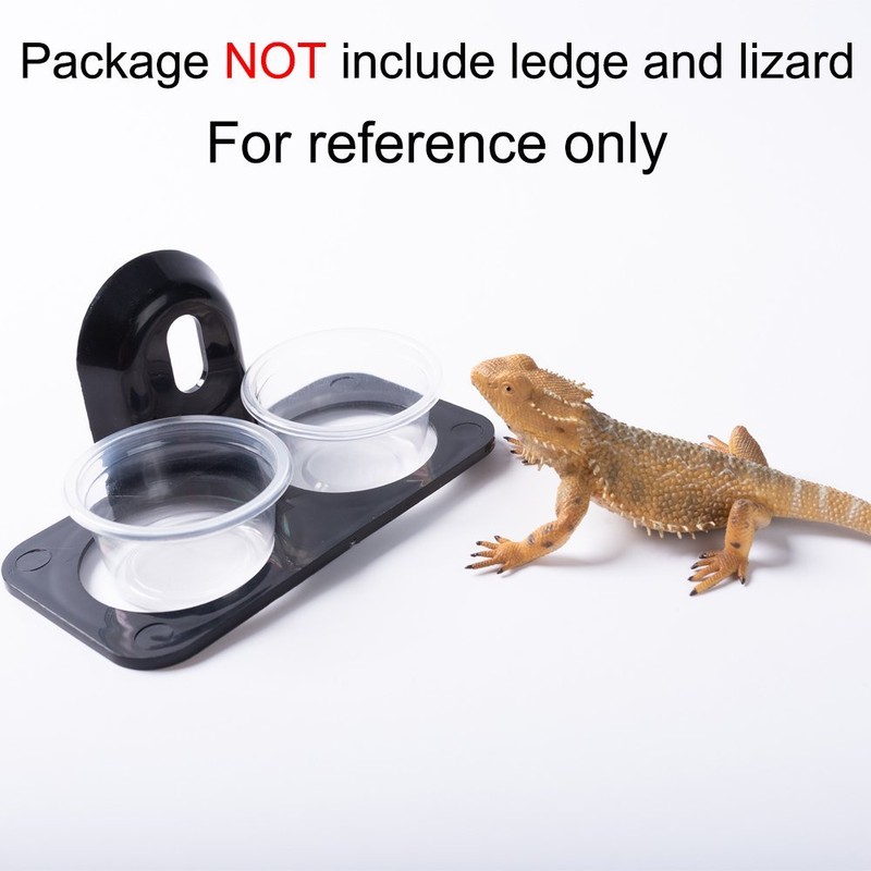 SLSON 100 Pack Gecko Food and Water Cups Gecko Ledge