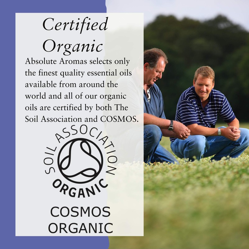 Absolute Aromas Top 3 Organic Essential Oils Pack - Set