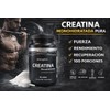 Biotina 120 Caps Y Creatina Monohidratada 500mg Energios Sin Sabor
