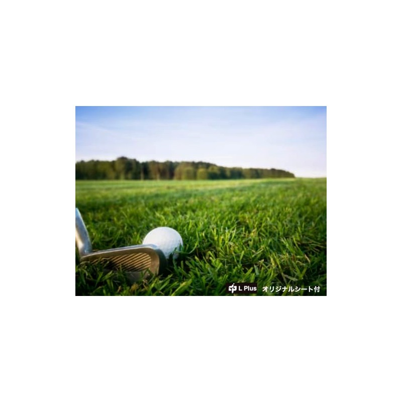 【まとめ買い2ダース】ゼクシオ リバウンド ドライブ２ XXIO REBOUND DRIVE2 2023年 ※オリジナルシート付