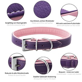 Schnüffelfreunde Fun Line Leather Dog Collar for Large, Medium and Small Dogs, Leather Collar for Dogs, Padded and Robust (L - 36-45 cm, Purple-Pink)