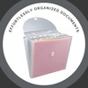 Advantus Expandable Paper Organizer, Accordion File Organizer, Important Document Holder,