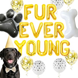 Dog Cat Birthday Party Decoration Fur Ever Young Pet Puppy Party Decorations Lets Pawty Balloons Puppy Themed Birthday Supplies Dog Balloons