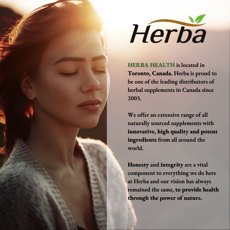 Herba Herba Lung Supplement with Mullein Leaf Extract for Lung