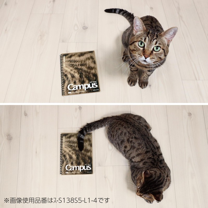 Kokuyo S138S5-L1-3 Campus Paw Soft Ring Notebook, A5, 0.2 inch