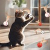 3 Pcs Cat Toy Ball Indoor Entertainment for Interactive Feather