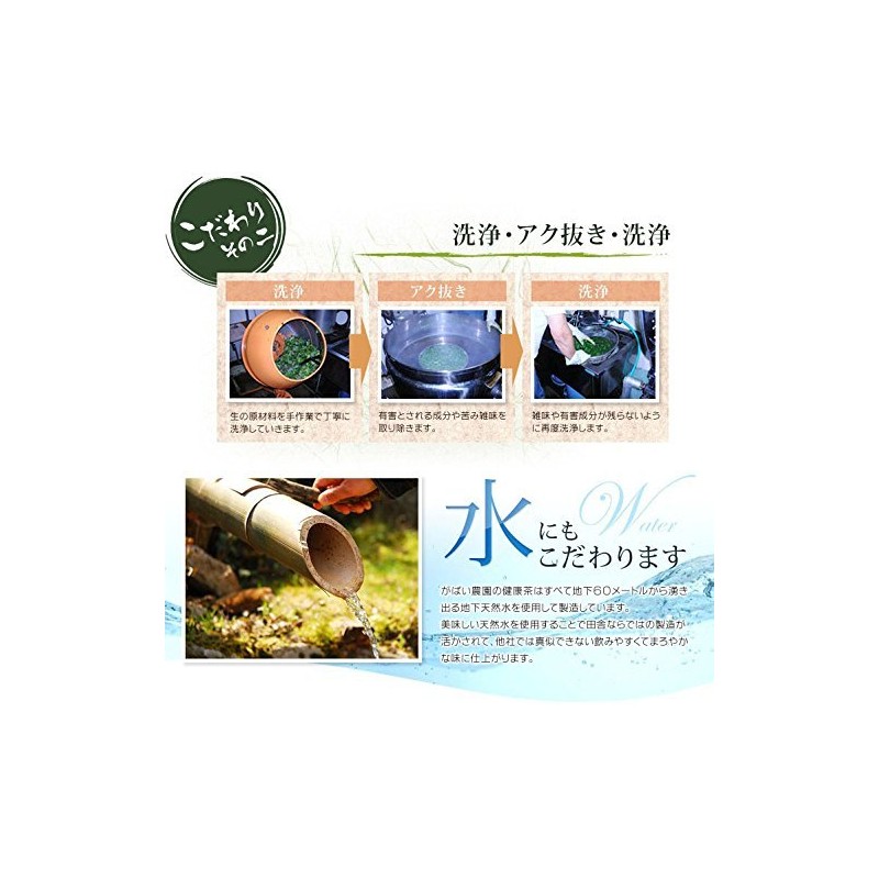 Gabai Farm Handmade Bitter Melon Tea 0.07 oz (2 g)