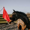 Telescopic Equestrian Training Flag Kit for Horse Training – Red