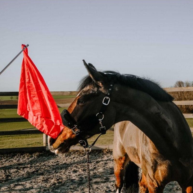 Telescopic Equestrian Training Flag Kit for Horse Training – Red