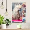 Bunte Vögel. Bezaubernde Papageien-Aquarelle (Wandkalender 2026 DIN A4 hoch), CALVENDO