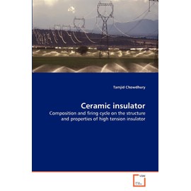 Ceramic insulator: Composition and firing cycle on the structure and properties of high tension insulator