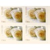 100 FOREVER STAMPS 5 SHEETS White Rose Wedding Invitations