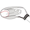 UNIX SPG-1061 Baseball Practice Supplies, Throwing Pitch Net (General Adults)