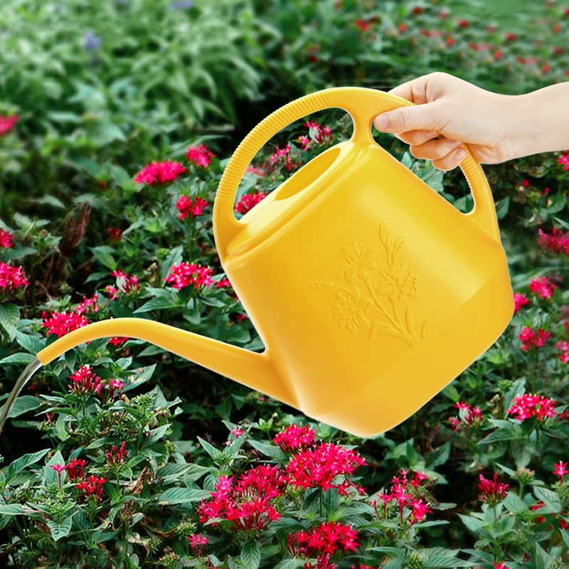 Fasmov 1-Gallon Plastic Watering Can with Comfortable Handle, Garden Watering