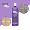 Shiny Silver Ultra Shampoo Conditioning 12oz (2 Pack)
