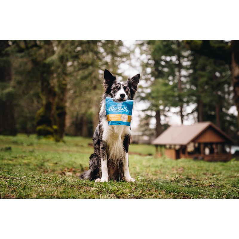 Muenster Freeze-Dried Meatballs Barnyard Chicken Recipe, 4 oz Package