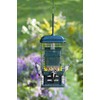 Squirrel Buster Suet Squirrel-Proof Suet Bird Feeder with Two Suet