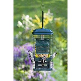 Squirrel Buster Suet Squirrel-Proof Suet Bird Feeder with Two Suet Cake Trays, Two Crumb Ports, Mess-Free Suet Loading, Durable Green Design for Clinging Birds
