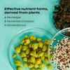 wholier Multivitamin for Plant-Based People, Vegan Essential Vitamins, Minerals +