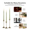 8 Pack 10 Inch Sage Green Spiral Taper Candles Long