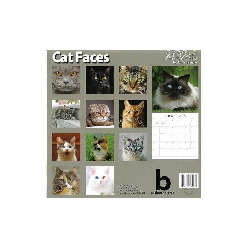 2026 Cat Faces Full Size Wall Calendar for Planning, Scheduling,