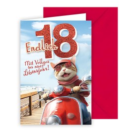 KE - 18th Birthday Card - Boys and Girls Birthday Card - Red Cat on Scooter - Embossed with Silver Foil - Includes Envelope - B6 Size