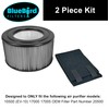 BlueBird Filters Replacement HEPA Filter & Carbon Pre Filter Kit