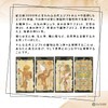 Egyptian Tarot Tarot Tarot Divination with Japanese Manual (English Language