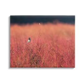 Stupell Industries Bird in Red Field Canvas Wall Art Design by Nancy Crowell