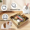 Jwizyotr Guinea Pig Toys Rabbit Toys Box for Chewing&Teeth Grinding
