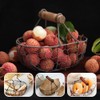 Angoily Pack of 3 Wire Egg Basket with Wooden Handle