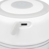 Mini Electric Garlic Chopper Large Capacity Powerful Motor 304 Stainless