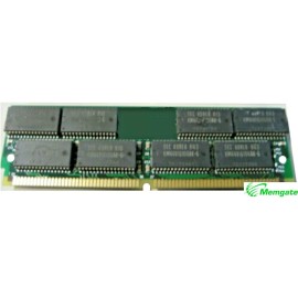 Amiga 256MB (2 x 128MB)  EDO Memory Ram For Amiga 1230 Blizzard PPC / 603e & 603e Plus