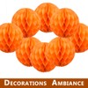 Yosawa 8PCS Honeycomb Flower Balls Tissue Paper Flower Balls Hanging