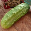 National Pickling Cucumber Seeds - 1 g ~30 Seeds -