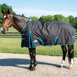 Country Pride Calgary Heavyweight Turnout Blanket (88)