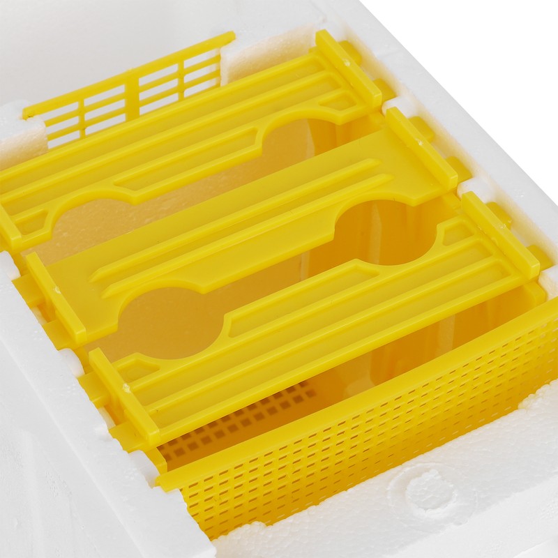 Queen Bee Mating Box Foam Breeding Rearing Copulation Accessory Beekeeping