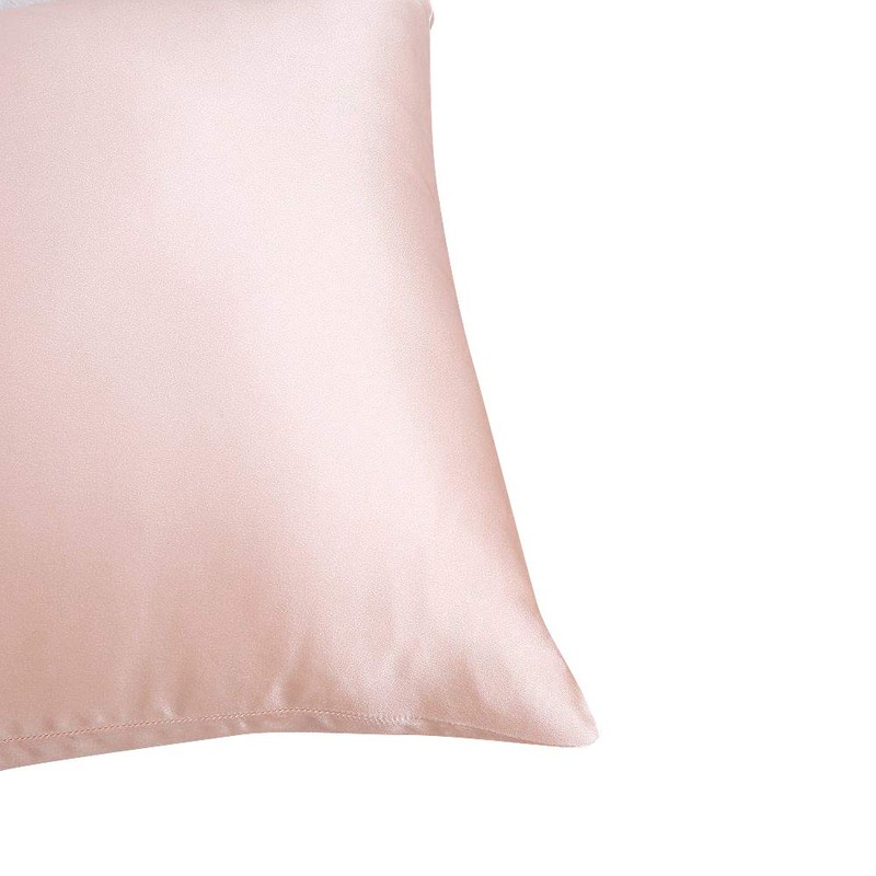 LULUSILK 100% Pure Silk Pillow Case for Hair and Skin