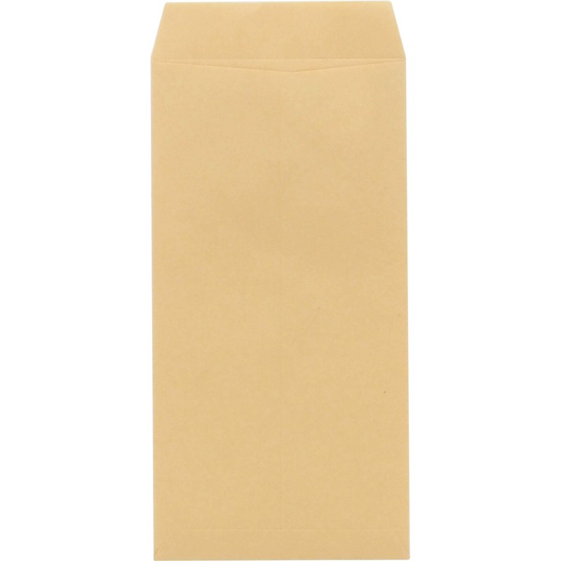 Audiofan Kraft Envelopes, Long No. 3, 2.5 oz (70 g)