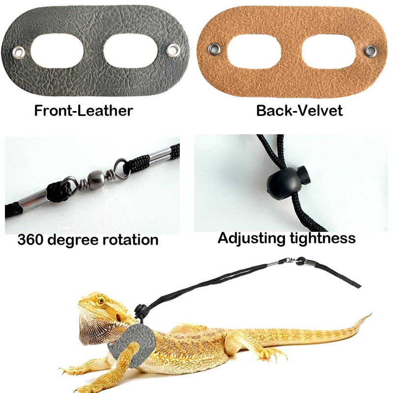 Bearded Dragon Portable Carrier with Leather Harness and Leash Set,Small