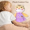 Plush Comfort Toy Teether Chewable 3D Granular Touch Cartoon Design