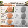 Dreplfn Daisy Flower Bird Bath Copper Disk 1 Pack 0.8mm