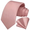 HISDERN Pink Ties for Men Wedding Blush Tie and Pocket