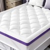 ChiXpace Queen Mattress Topper, Viscose Derived from Bamboo, Pillow Top