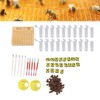 Queen Bee Rearing System Plastic Breeding Cell Cup Kit Beekeeping