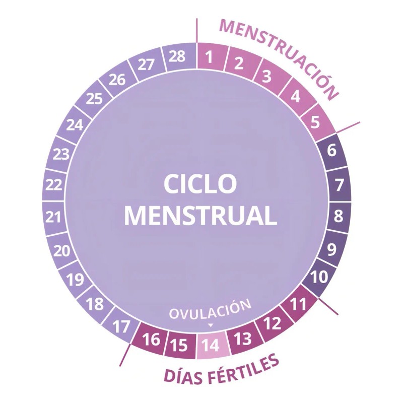 Predictor De Ovulación (lh) Digital - 7 Pruebas - Certum
