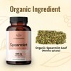 Spearmint 100 Capsules - 1000 mg - Organic Mentha Spicata