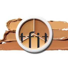 TFIT Cover-Up Pro Concealer / 15g / Triple Color / Pores / Dark Circles / SNS Hit Product / Compact / All-in-One 04 Dark