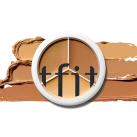 TFIT Cover-Up Pro Concealer / 15g / Triple Color / Pores / Dark Circles / SNS Hit Product / Compact / All-in-One 04 Dark
