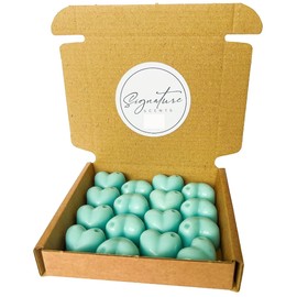 Frosted Eucalyptus Wax Melts - 16x 5g Hearts - Highly Scented - Soy Wax - Long Lasting & Strong - Mrs Hinch Inspired